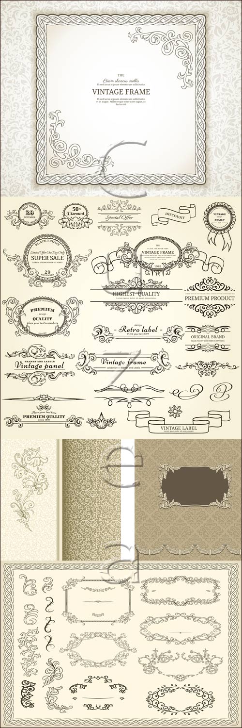 Vintage  elements for certificate on white background - vector stock