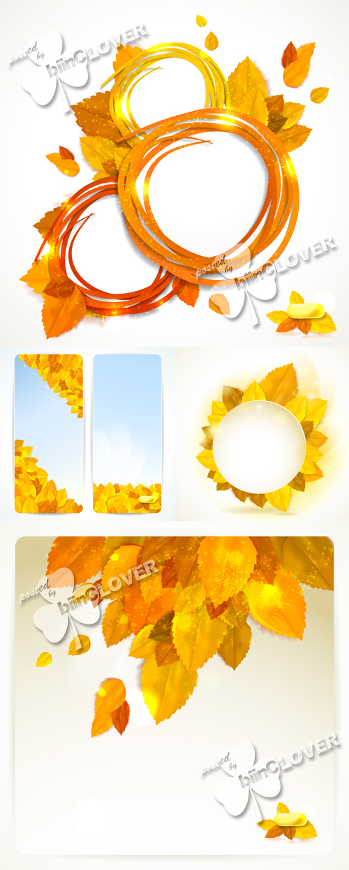 Autumn leaves 0475