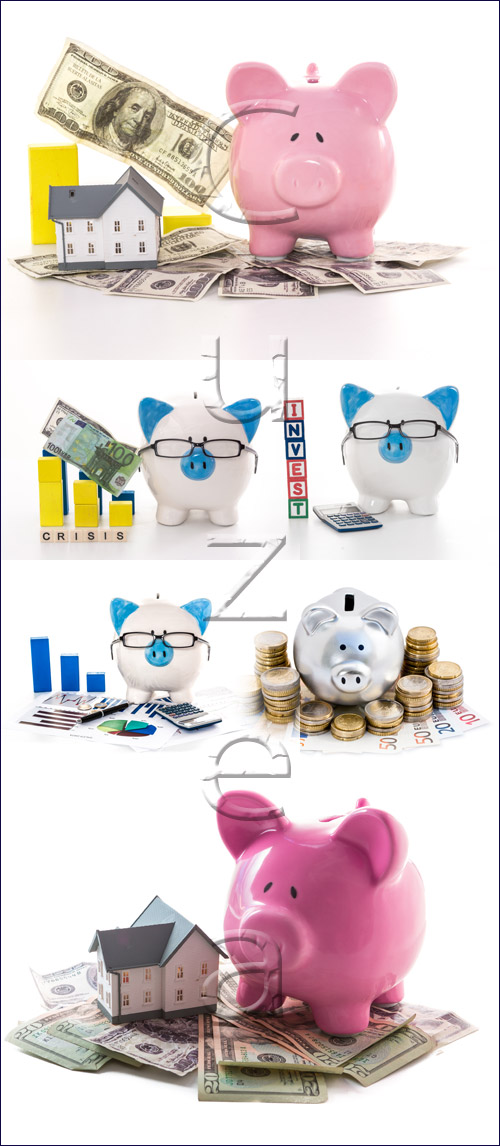 Money pig - stock photo