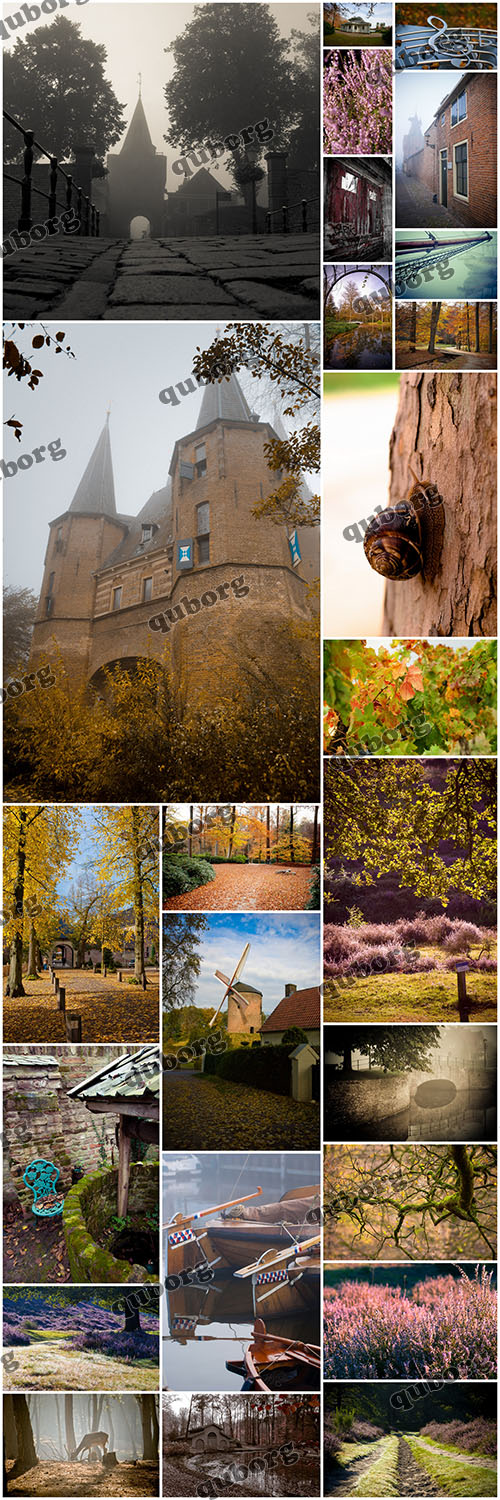 Stock Photos - The Colour Of Autumn