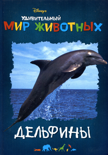 Удивительный мир животных. Дельфины