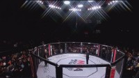 World Series of Fighting 5: Arlovski vs. Kyle (2013) HDTVRip