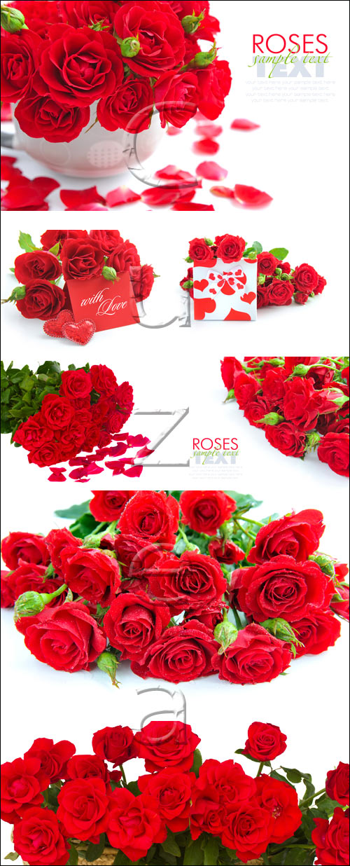 Red roses and gift with heart - stock photo