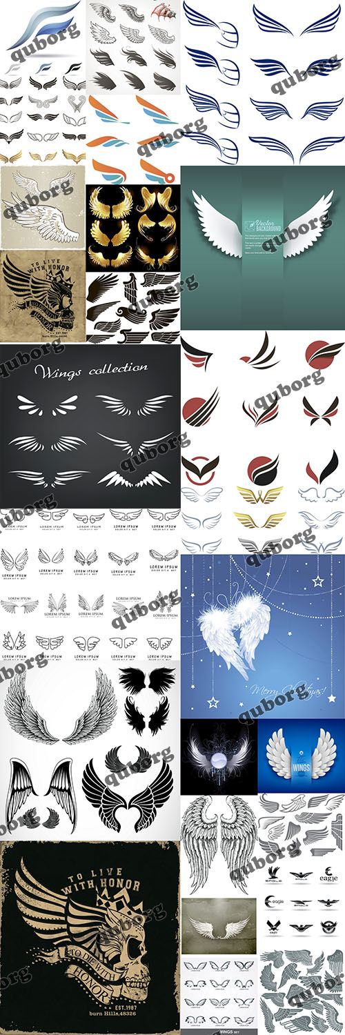 Stock Vector - Set of Wings