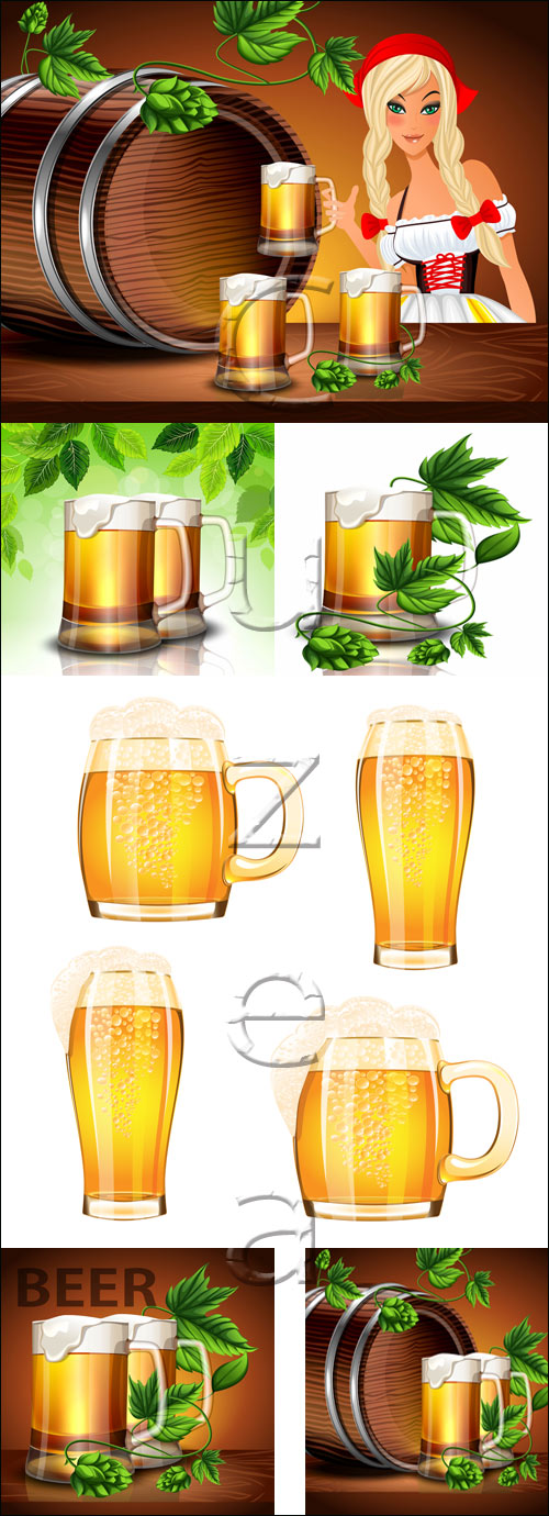 Beer collection - vector stock