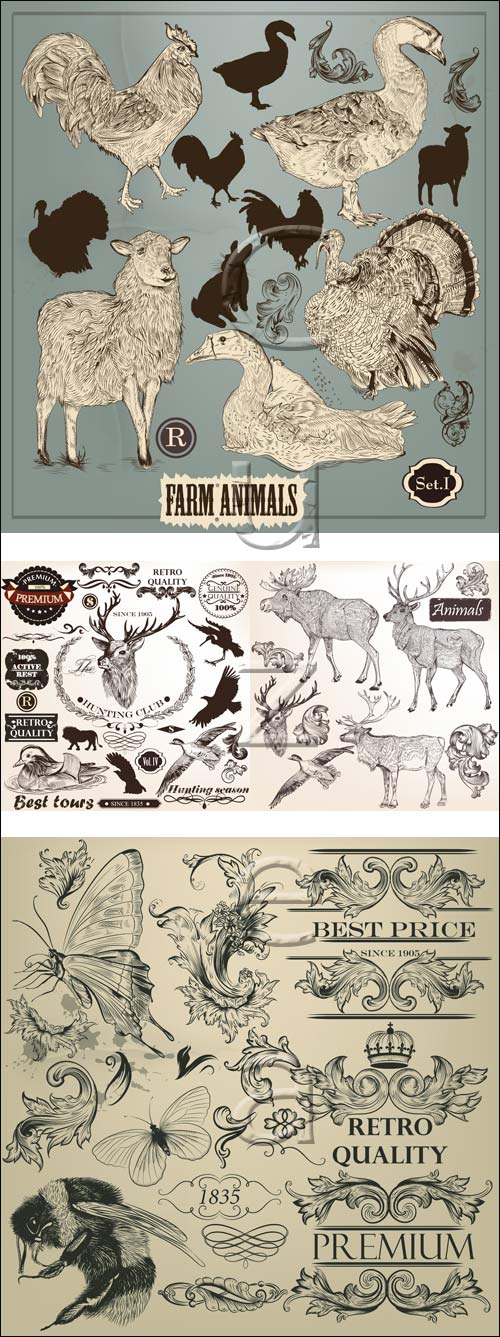 Domestic and wild animals in vector set, 3
