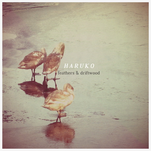 Haruko - Feathers & Driftwood (2013)