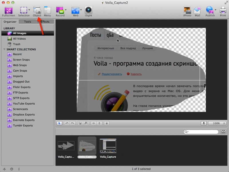 Voila - программа создания скриншотов + захват видео с экрана