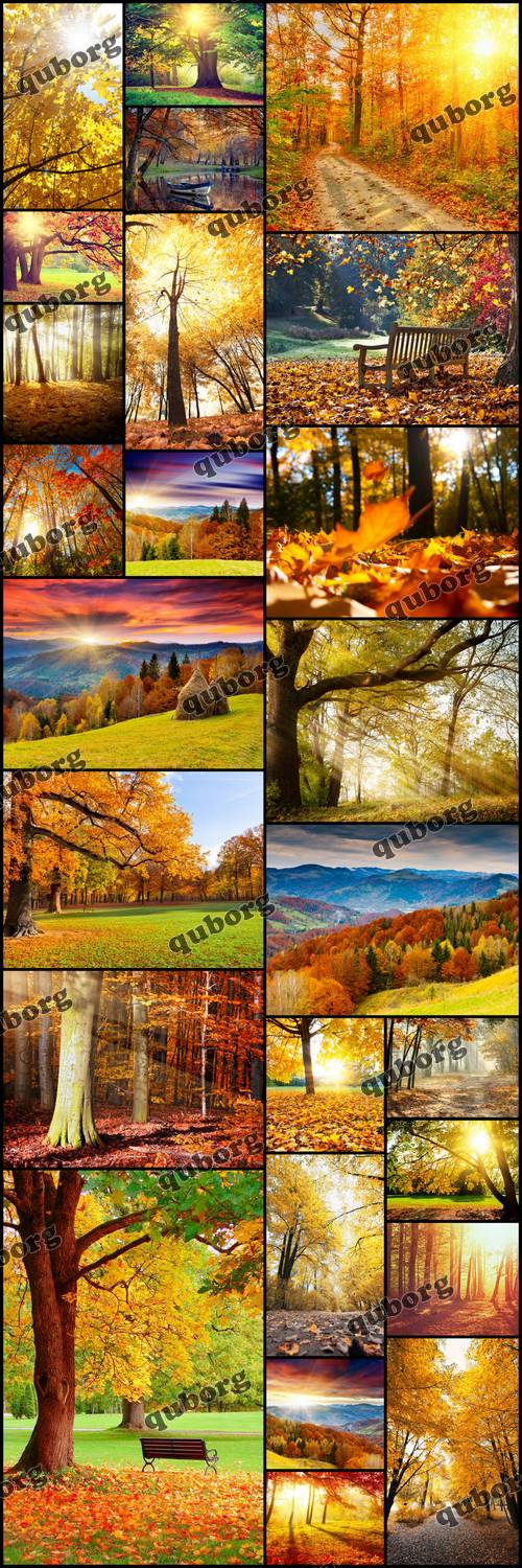 Stock Photos - Autumn Landscape
