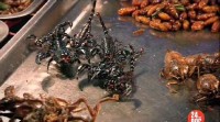 BBC: З'їж жука - врятуй світ / BBC: Can Eating Insects save the World (2012) SATRip 
