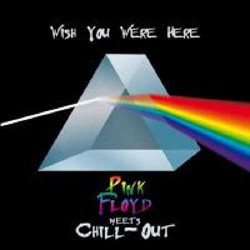The Chill-Out Orchestra - Wish You Were Here: Pink Floyd Meets Chill-Out (2013, Мп3)