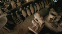 BBC. ,    / BBC. Pompeii: The Mystery of the People Frozen in Time (2013) SATRip
