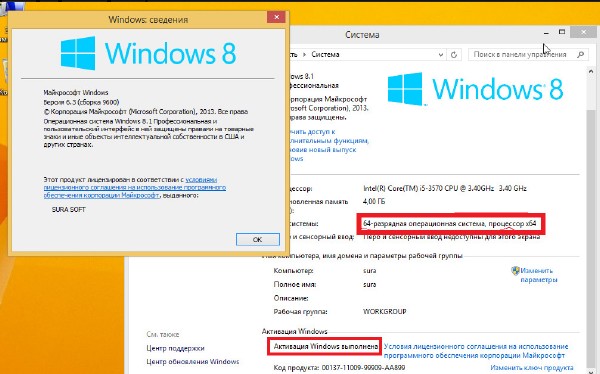 Windows 8.1 Professional RTM 9600 Final СУРА SOFT (x64/2013/RUS)