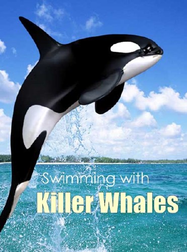 BBC:    / BBC: Swimming with Killer Whales (2012) WEBRip 