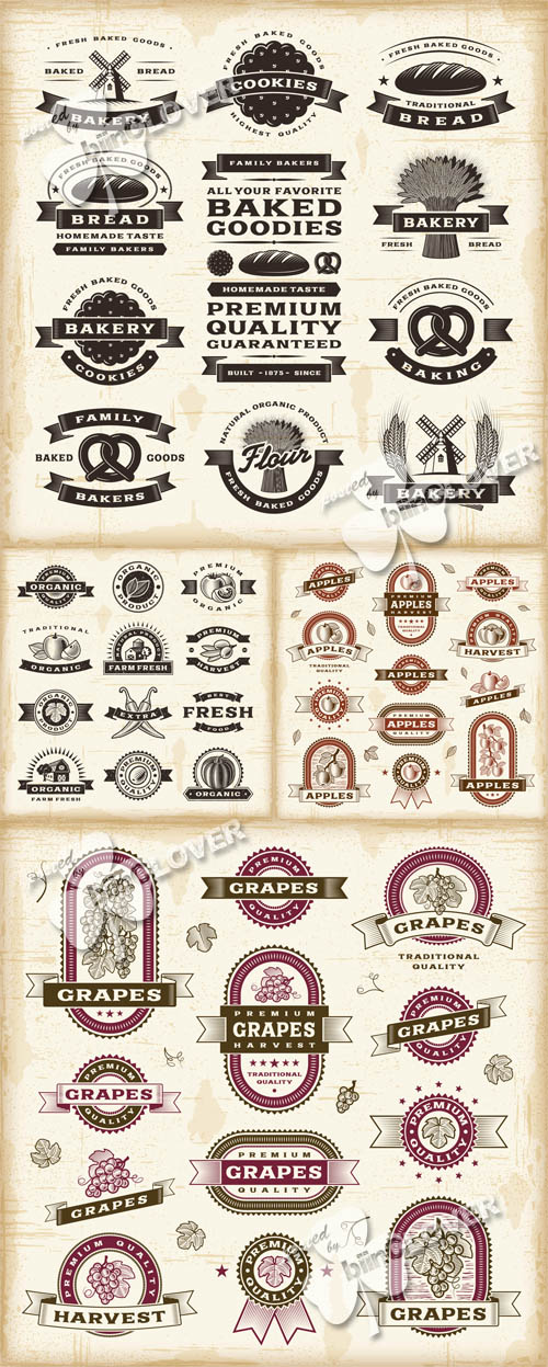 Retro labels  and stickers set 0498
