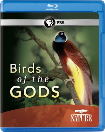  .   /Nature - Birds of the Gods (2010) BDRip-AVC