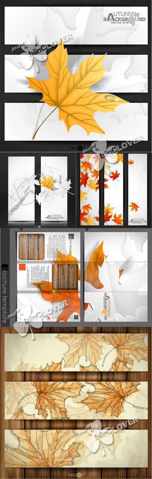Autumn leaves background 0502