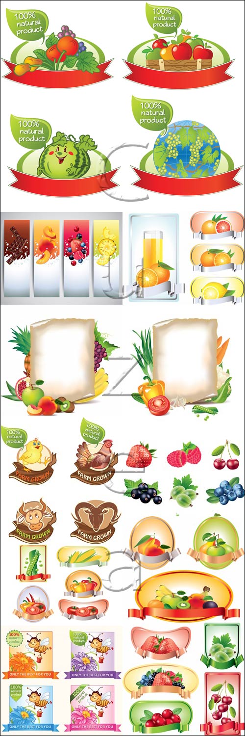 Banner with fruit and vegetables - vector stock