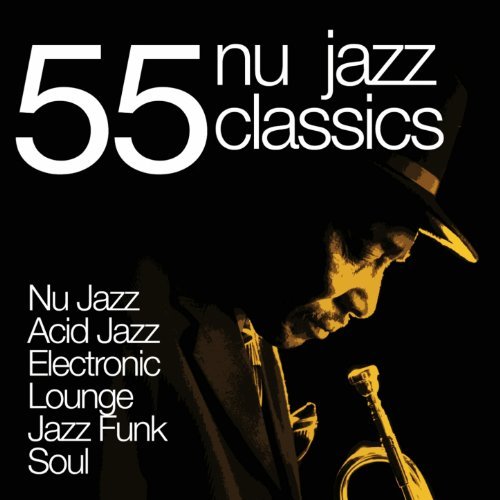 VA - 55 Nu Jazz Classics (Nu Jazz, Acid Jazz, Electronic, Lounge, Jazz Funk & Soul) (2013)