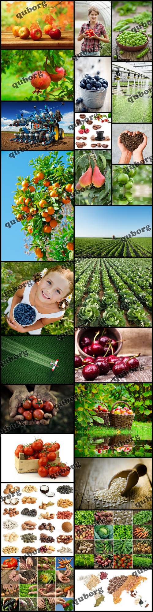 Stock Photos - Agriculture 3
