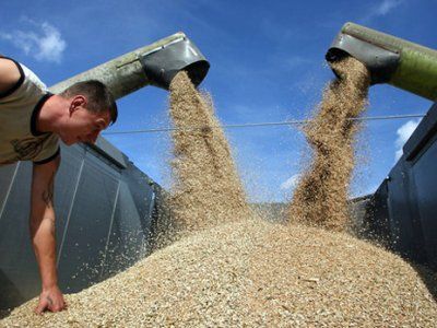 Зерно объединяющее. Россия, Украина, Казахстан и Белоруссия как гаранты мировой продовольственной безопасности