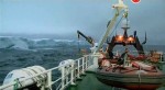BBC:   (2   2) / BBC: Operation Iceberg (2012) SATRip 