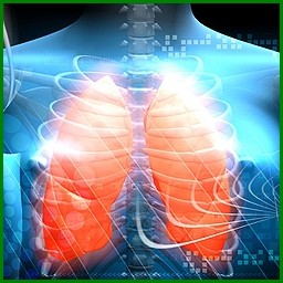 Heart failure and chronic obstructive pulmonary disease
