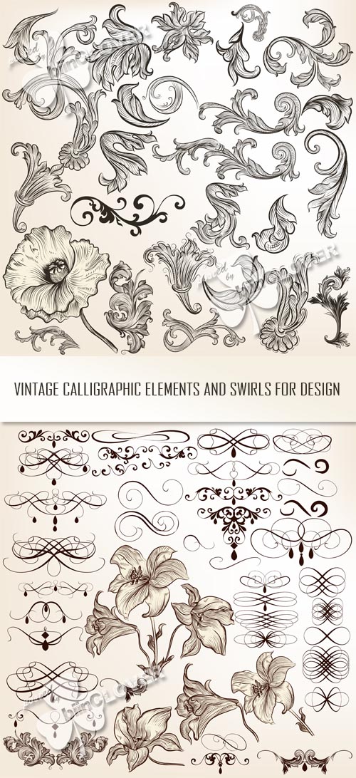 Vintage calligraphic elements and swirls for design 0513