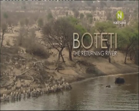 Ботети - возвращение реки / Boteti the Returning River (2010) SATRip-AVC