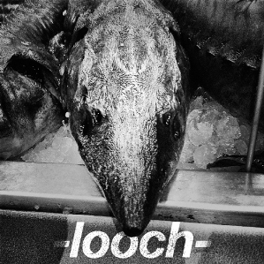 Looch - Demo (2013)