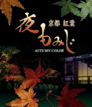 Autumn color Kyoto / Kyoto Autumn Color watch online