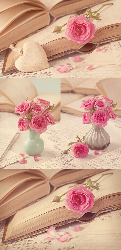 Roses and books -    