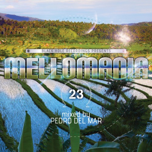 VA - Mellomania Step 23 (Mixed by Pedro Del Mar)(2013) FLAC