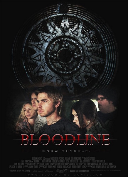   / Bloodline (2013) DVDRip / DVD5