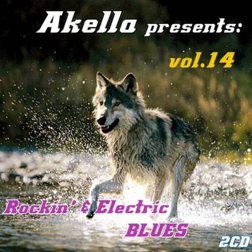 VA - Akella Presents vol.14 (2013) FLAC