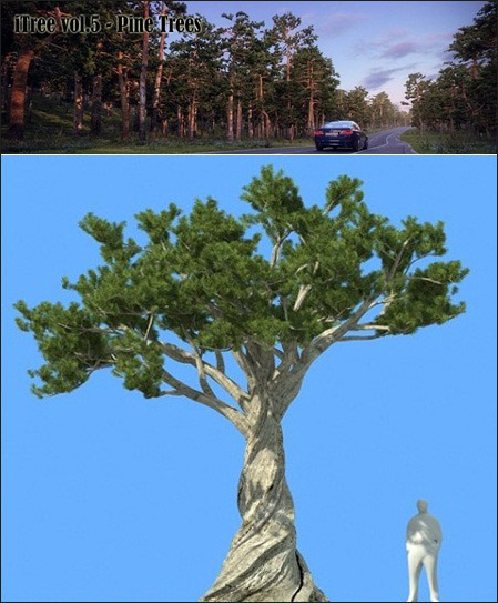 [3DMax]  R&D Group iTrees vol 5 Pine Trees - repost