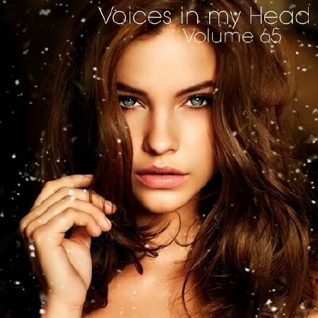 Voices in my Head Volume 65 (2013)