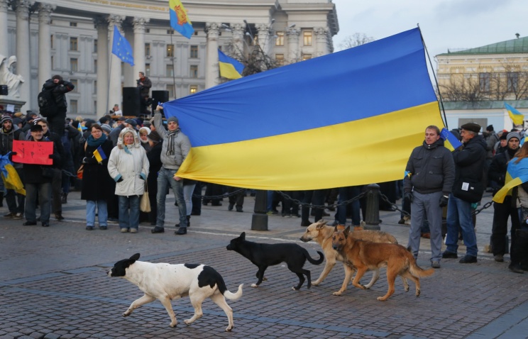 Украинская оппозиция собирает многотысячный митинг в Киеве