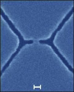 Научные работники сделали нанотранзистор для исследования живых клеток