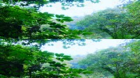   :   / World Natural Heritage: Mount Emei (2010) 3D (HOU) / BDRip (1080p)