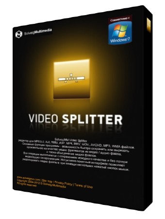 SolveigMM Video Splitter 6.1.1706.30 Business Edition Final