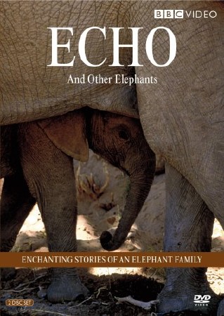 Эхо и слоны Амбозели (1-12 серии) / Echo and the elephants of Amboseli (2011) SATRip