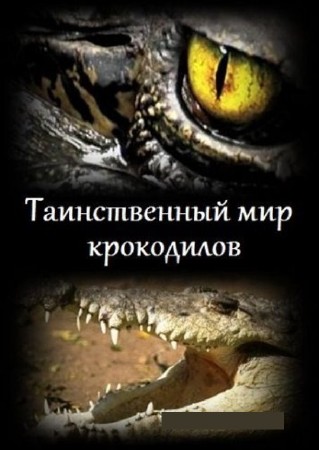    (2   2) / The secret world of crocodiles (2011 / SATRip)