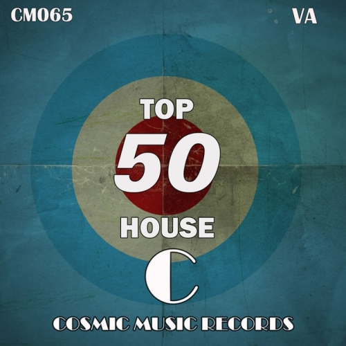 VA - Top 50 House (2013)