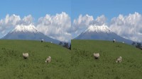   3D:   / New Zealand 3D: The Forgotten Paradise (2013) 3D (HSBS) / BDRip (1080p)