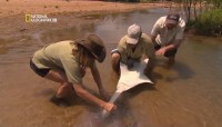 NG. -:     / Monster fish: King of The Outback (2011) HDTVRip