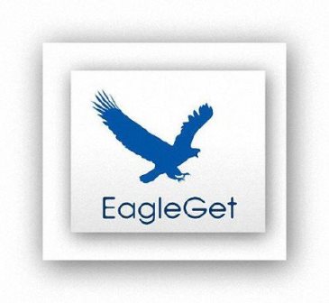 EagleGet v.1.1.0.7 Final (2013/Rus/Eng)