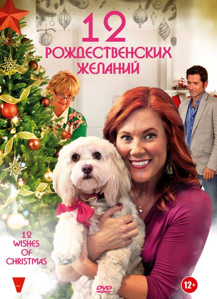 12   / 12 Wishes of Christmas (2011) DVDRip