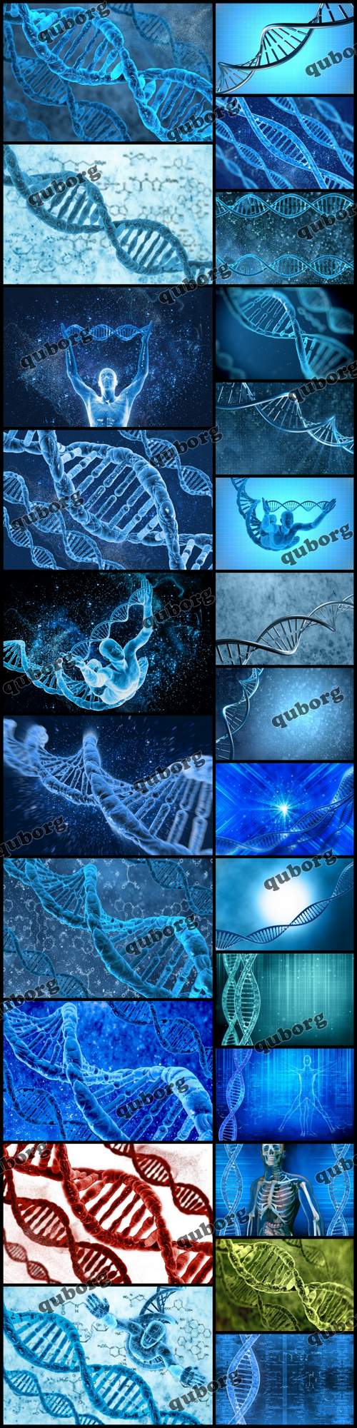 Stock Photos - DNA Molecules