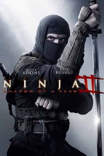  2 / Ninja: Shadow of a Tear (2013) WEB-DLRip/WEB-DL 720p